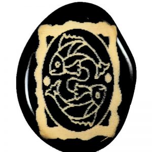 Signe poisson
