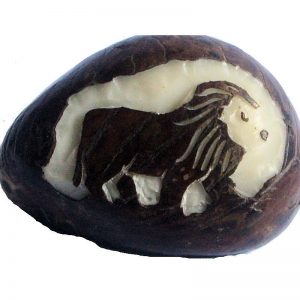 Graine de tagua gravure lion