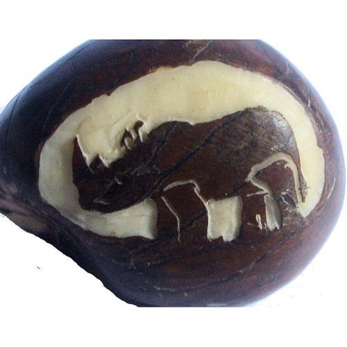 Graine de tagua gravure rhinocéros