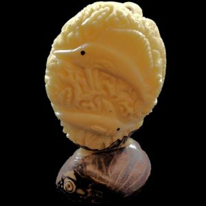 Graine de tagua gravée