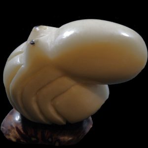 Calamar gravé dans la graine de tagua