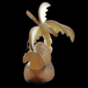 Palmier case taillé dans la graine de tagua