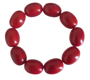 bracelet tagua rouge artisanal 10 perles