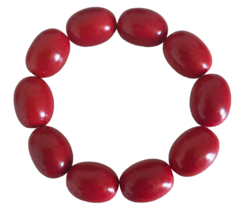 bracelet tagua rouge artisanal 10 perles